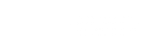Charter schools serve a similar proportion of students with special needs (11 percent) as traditional public schools (14 percent).